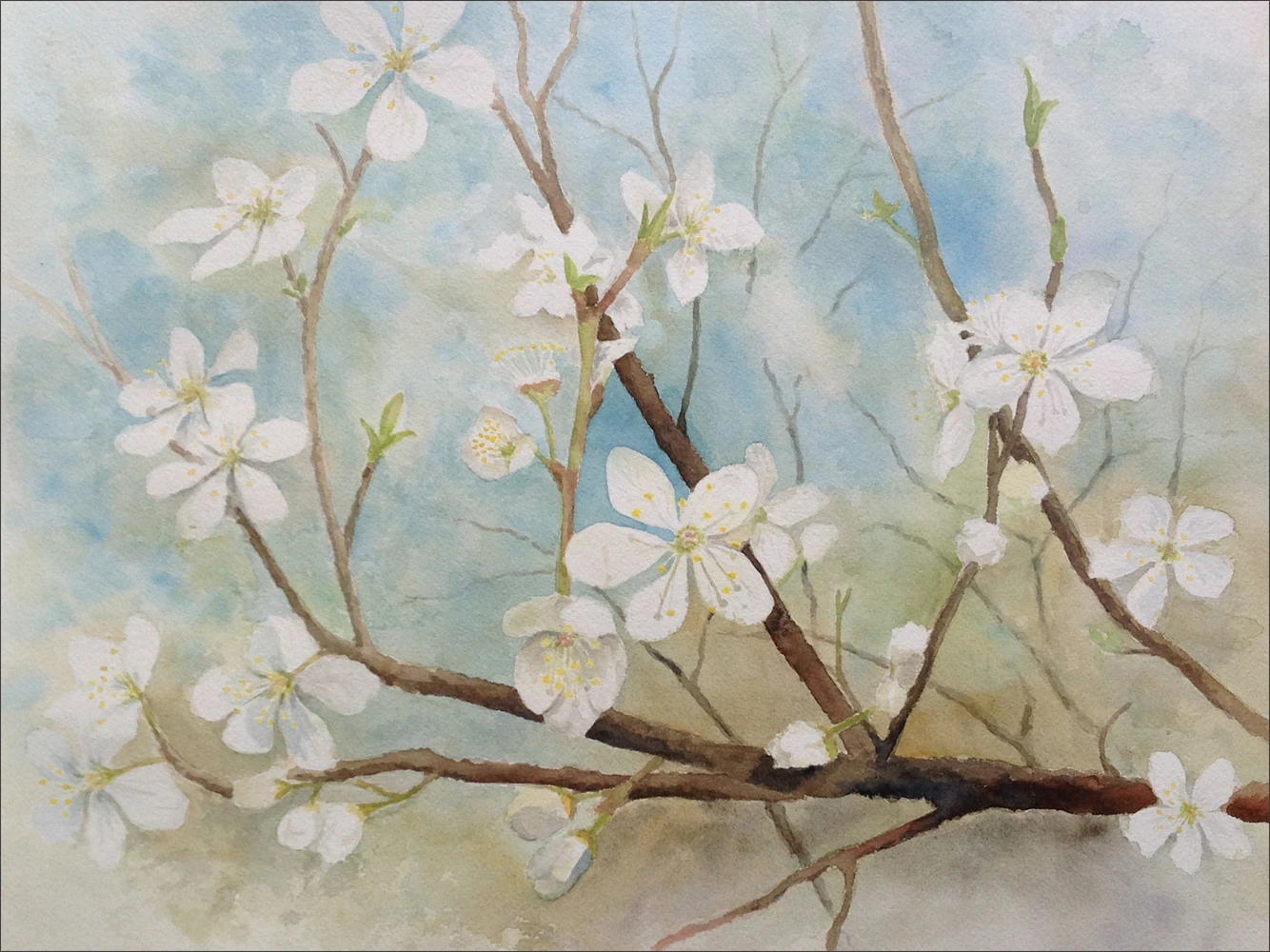 Kwiaty, akwarela, 41x31 cm