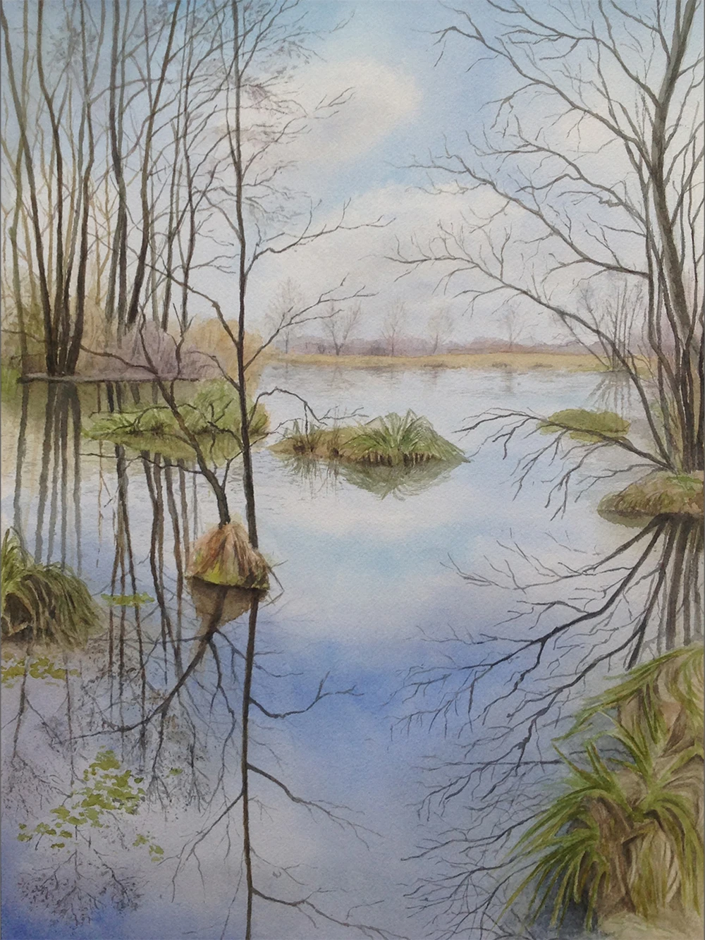 Starorzecze Rawki, akwarela, 31x41 cm