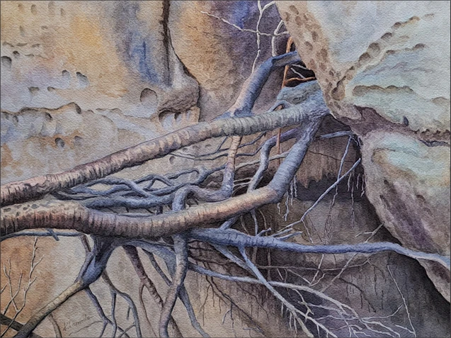 Splątanie, akwarela, 41x31 cm